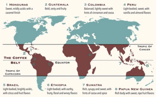 The Journey of Coffee: From Ethiopia to the Bean Belt